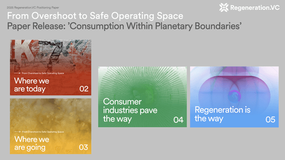 2025 Regeneration VC Positioning Paper 001