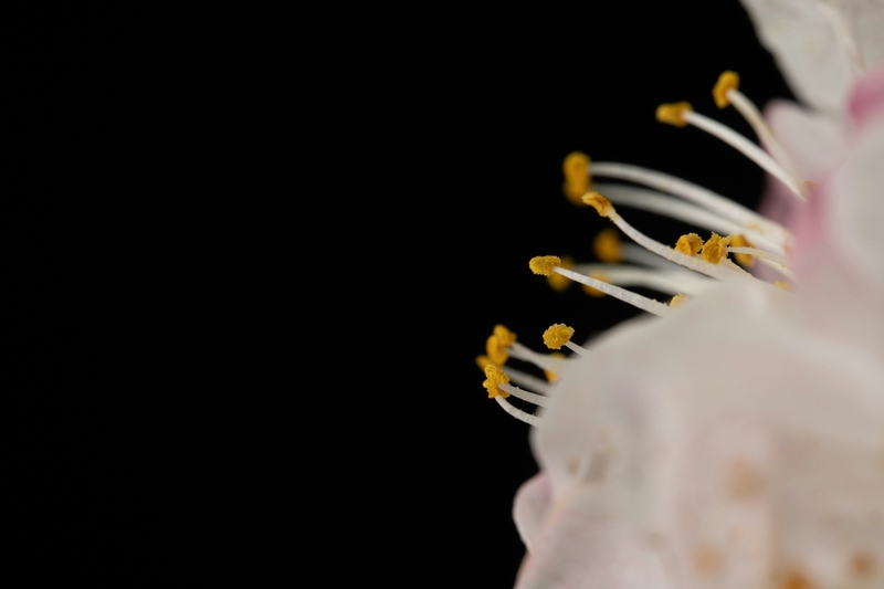 Nowbelov 2b6w Wz JCSKU unsplash