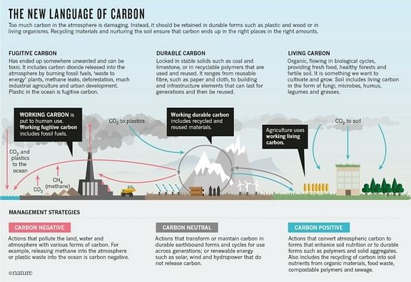 New language of carbon