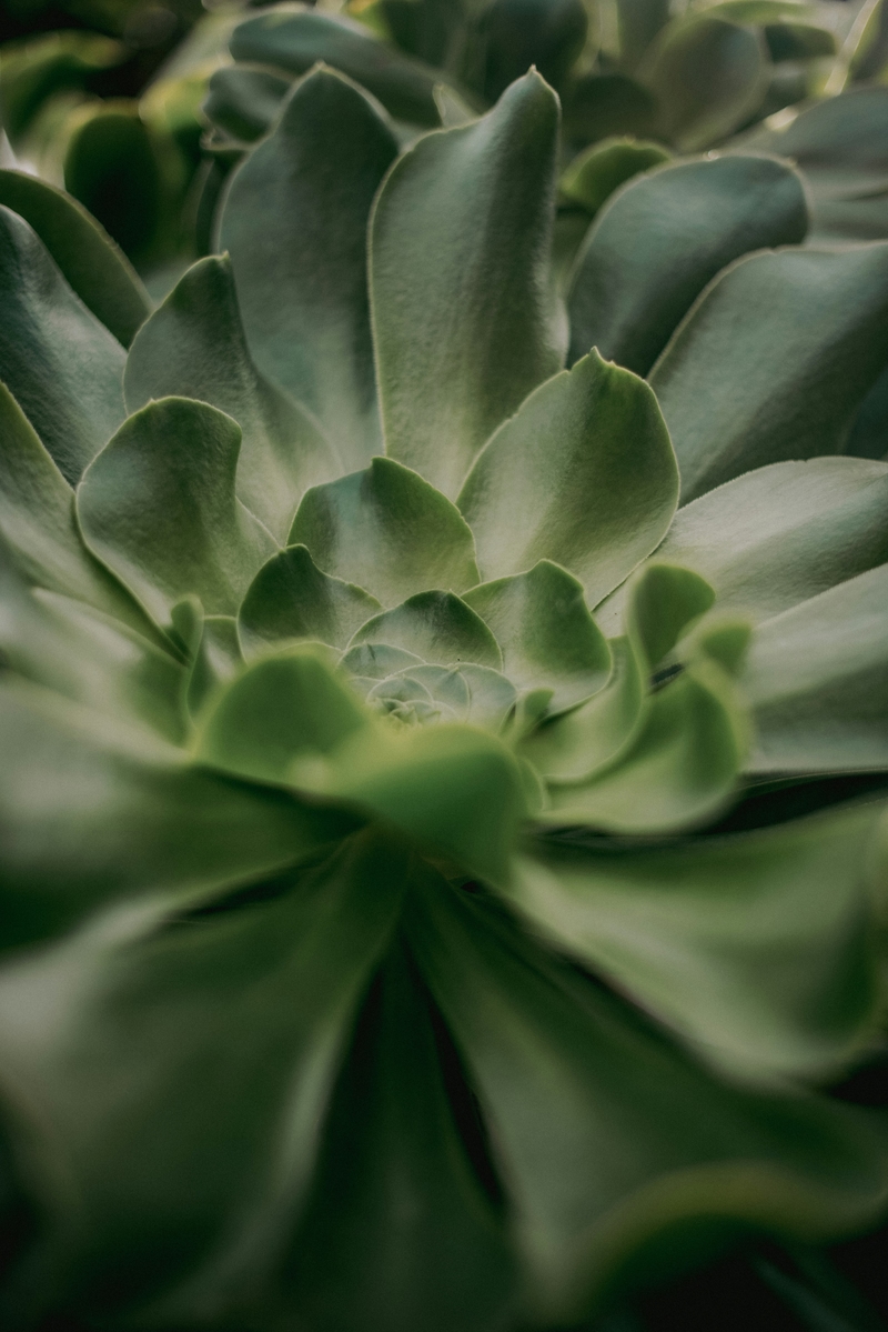 Tim mossholder w7 MHW b Uot M unsplash