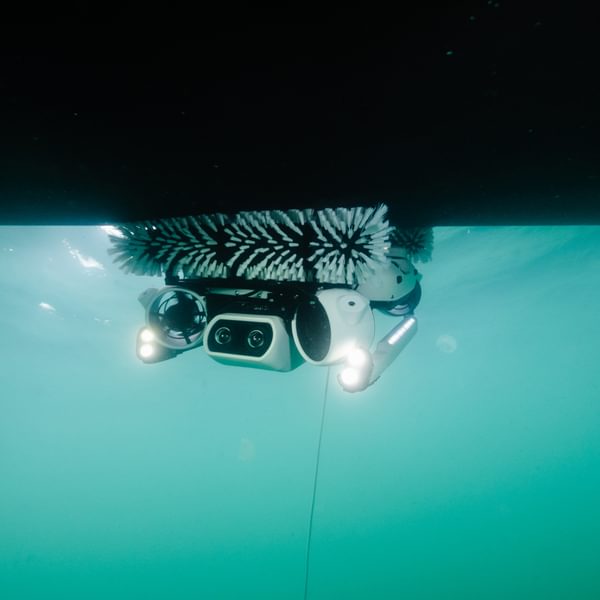 Hullbot image blue green